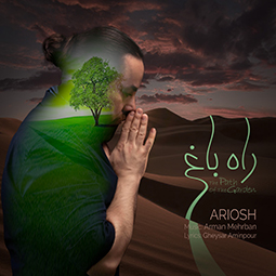 The Path of The Garden